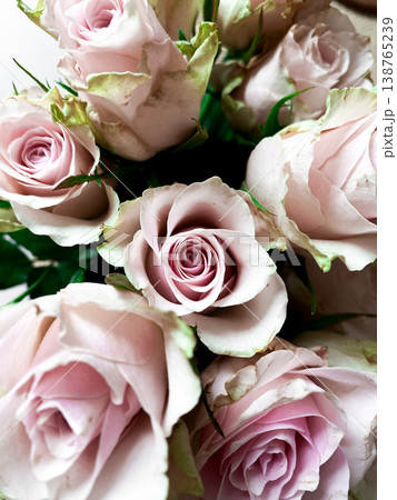 Top view of pink roses bouquet, soft pink colors and intricate details, light green tips on petals. Decorative natural background for design. Beauty of roses, simple attractive floral composition Top view of pink roses bouquet, soft pink colors and intricate details, light green tips on petals. Decorative natural background for design. Beauty of roses, simple attractive floral composition 138765239