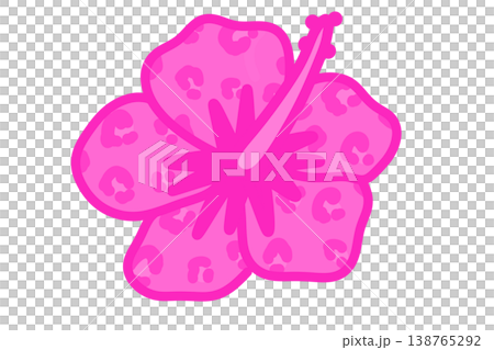 粉紅色豹紋芙蓉花 138765292