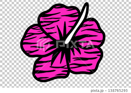 Zebra-patterned pink hibiscus 138765293
