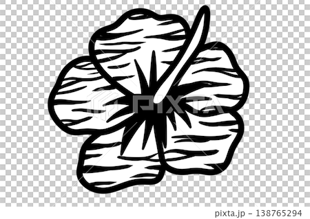 Monochrome zebra-patterned hibiscus Monochrome zebra-patterned hibiscus 138765294