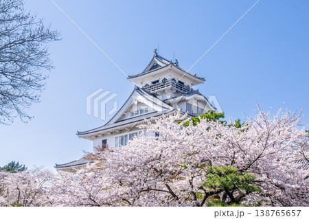 春の長浜城 春の長浜城 138765657
