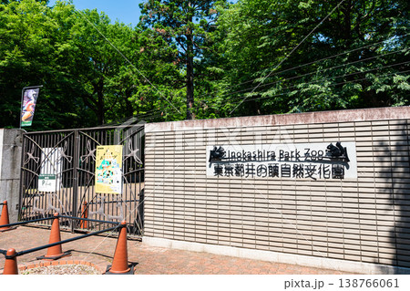 井の頭自然文化園　動物園を楽しむ　夏晴れの青空　東京都武蔵野市御殿山 138766061