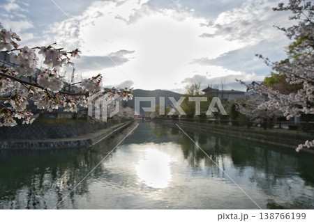 京の春　岡崎エリア疏水と満開の桜4 138766199
