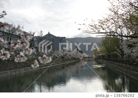 京の春　岡崎エリア疏水と満開の桜7 138766202