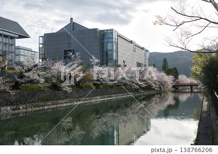 京都市　岡崎エリア疏水と満開の桜12 138766206