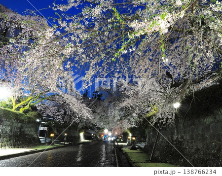 静岡県　大石寺　雨上がりの夜の満開の枝垂れ桜の参道　3月 138766234