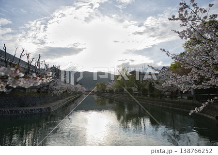 京の春　岡崎エリア疏水と満開の桜9 138766252