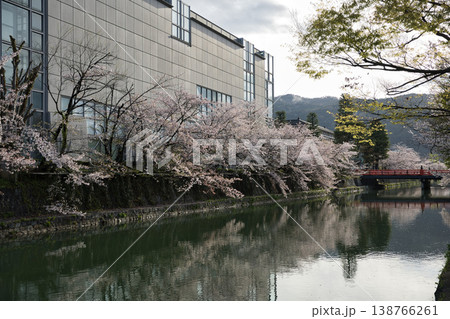 京の春　岡崎エリア疏水と満開の桜19 138766261