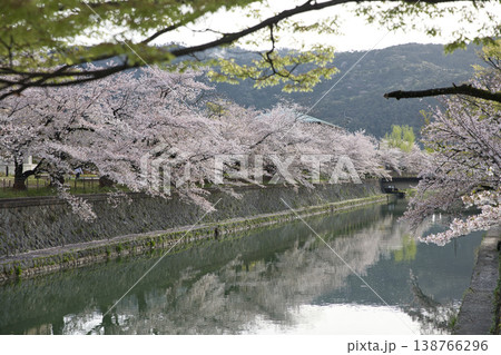 京の春　岡崎エリア疏水と満開の桜21 138766296