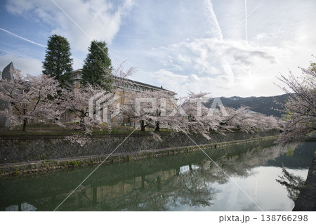 京の春　岡崎エリア疏水と満開の桜23 138766298