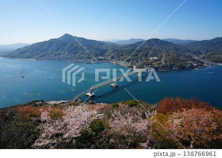 周防大島の桜 138766961