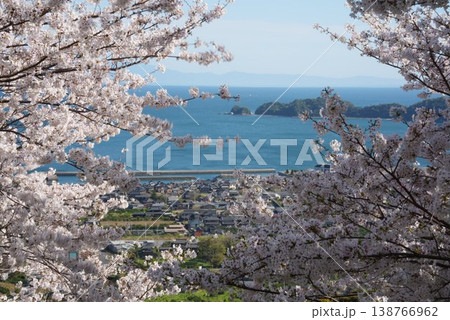 周防大島の桜 138766962