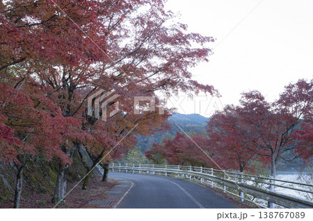 モミジの紅葉と道路 モミジの紅葉と道路 138767089