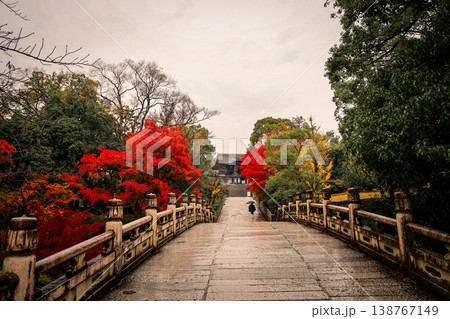 Nov 25 2025 Kennin ji Temple in Kyoto During Gentle Rainfall Nov 25 2025 Kennin ji Temple in Kyoto During Gentle Rainfall 138767149