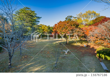 浜松市の鳥羽山公園の紅葉の風景(静岡県) 浜松市の鳥羽山公園の紅葉の風景(静岡県) 138767186