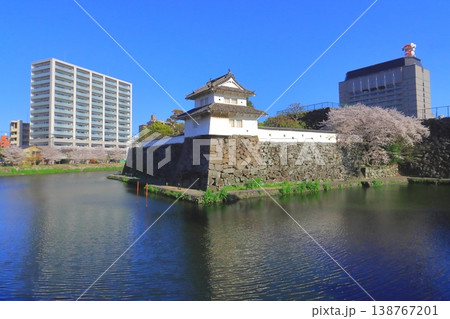 春の大分城址公園と県庁(府内城跡) 春の大分城址公園と県庁(府内城跡) 138767201