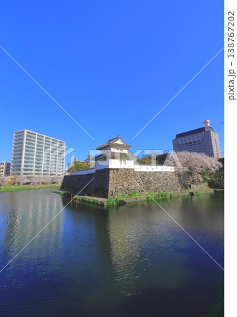 春の大分城址公園と県庁(府内城跡・縦構図) 春の大分城址公園と県庁(府内城跡・縦構図) 138767202