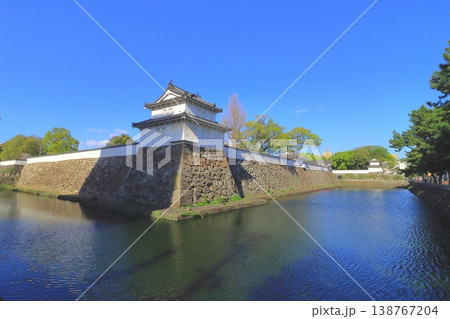 春の大分城址公園（府内城跡） 138767204