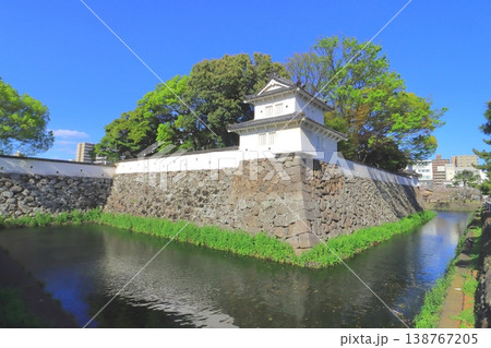 春の大分城址公園(府内城跡) 春の大分城址公園(府内城跡) 138767205