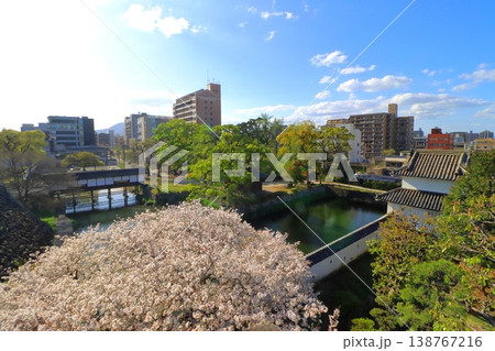 春の大分市街(大分城址公園より) 春の大分市街(大分城址公園より) 138767216