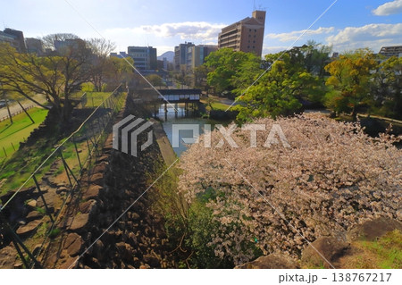 春の大分市街(大分城址公園より) 春の大分市街(大分城址公園より) 138767217