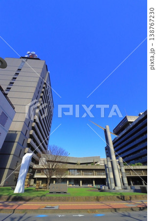 大分県庁（縦構図） 138767230