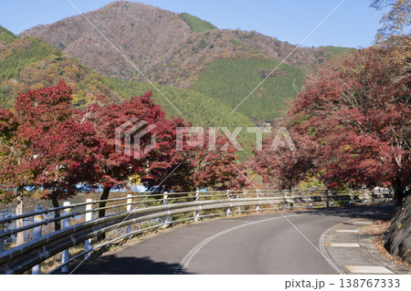 モミジの紅葉と道路 モミジの紅葉と道路 138767333