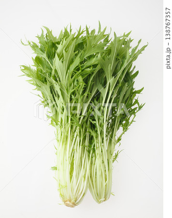 水菜　　スタジオ撮影 138767357