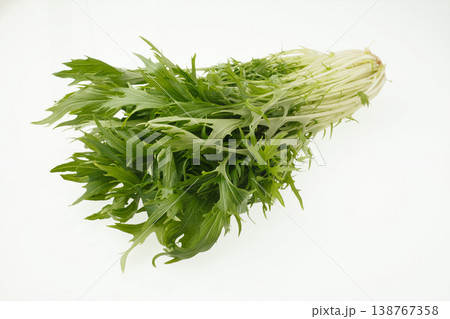 水菜　　スタジオ撮影 138767358
