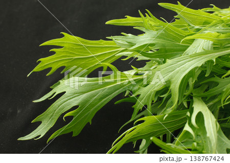 水菜　　スタジオ撮影 138767424