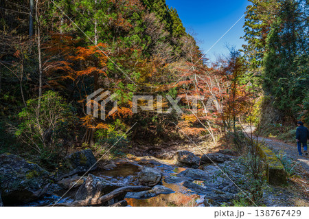 岡崎市のくらがり渓谷の風景(愛知県) 138767429