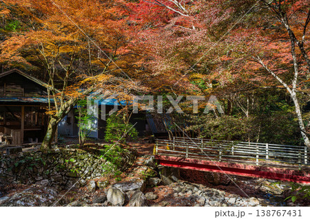 岡崎市のくらがり渓谷の風景(愛知県) 岡崎市のくらがり渓谷の風景(愛知県) 138767431