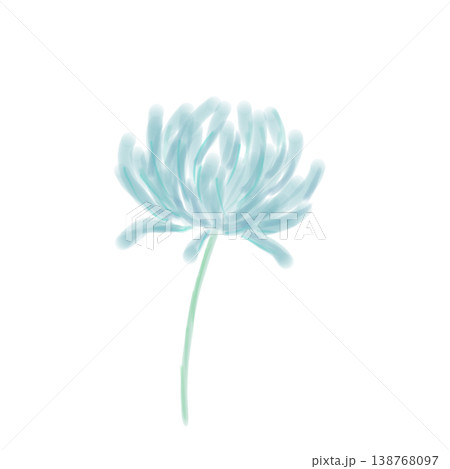 菊の花 菊の花 138768097