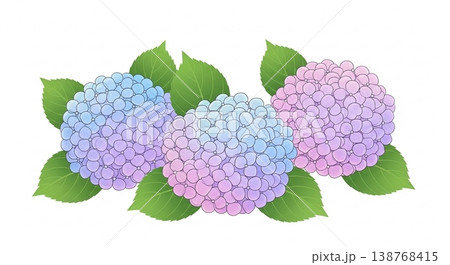 紫陽花と梅雨のベクターイラスト背景 138768415