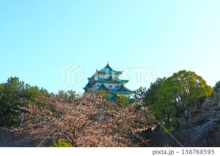 愛知県名古屋市、満開の桜と名古屋城の風景 愛知県名古屋市、満開の桜と名古屋城の風景 138768593