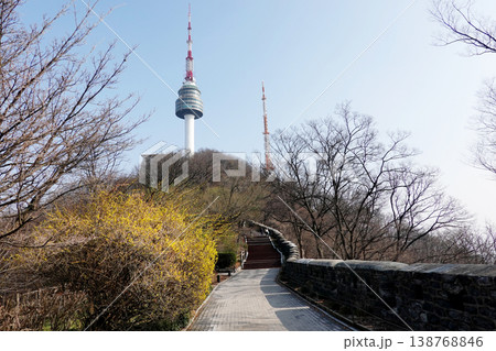 Namsan Seoul Tower Surrounded by Bare Trees and Early Spring Shrubs Namsan Seoul Tower Surrounded by Bare Trees and Early Spring Shrubs 138768846