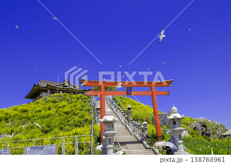 青空に飛ぶウミネコと蕪島神社 青空に飛ぶウミネコと蕪島神社 138768961