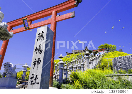 青空に映える蕪島神社の鳥居 138768964