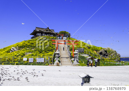 初夏の青空と蕪島 138768970