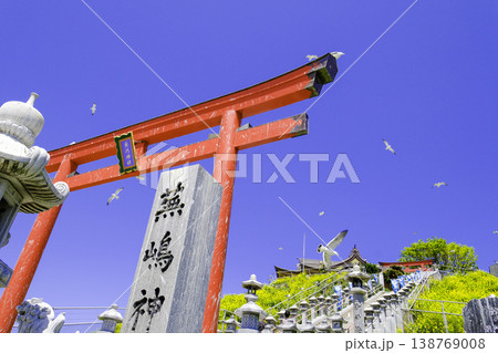 青空に映える蕪島神社の鳥居とうみねこ 138769008
