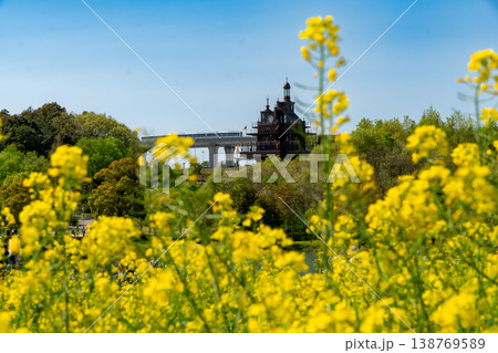 菜の花畑の向こうをリニモが走る、ジブリパークの春の風景 菜の花畑の向こうをリニモが走る、ジブリパークの春の風景 138769589