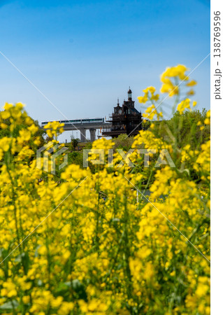 菜の花畑の向こうをリニモが走る、ジブリパークの春の風景 菜の花畑の向こうをリニモが走る、ジブリパークの春の風景 138769596