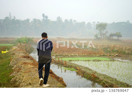 A young man walking along a narrow path between agricultural rice paddy fields on a misty morning 138769847