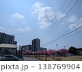 茨城県守谷市の公園で楽しむお花見風景 満開の桜と市民の憩いの場 138769904