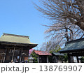 茨城県守谷市の神社に咲く満開の桜 日本の伝統風景と春の訪れ 138769907