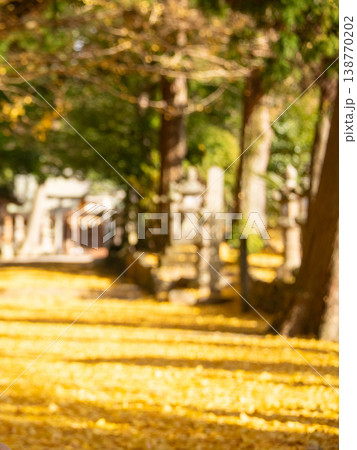 三重県　名張市　積田神社の紅葉　イチョウの落ち葉がたくさんの参道のイメージ 138770202