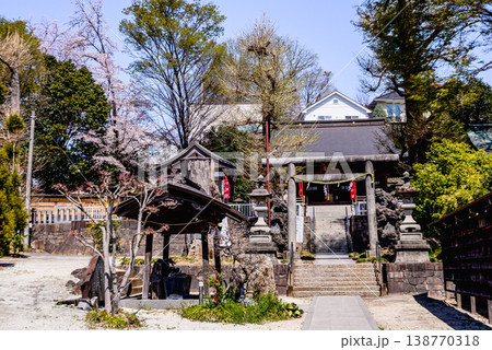 春の諏訪神社の風景 春の諏訪神社の風景 138770318