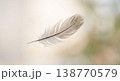 柔らかく舞い落ちる一枚の白い羽根 138770579