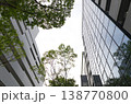 見上げたビルと新緑 138770800