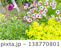 紫とピンクの花々 138770801